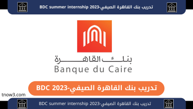 BDC summer internship