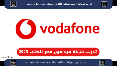 vodafone Summer Internship