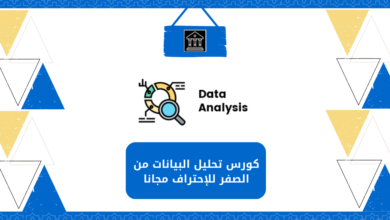 كورس تحليل البيانات من الصفر للإحتراف مجانا